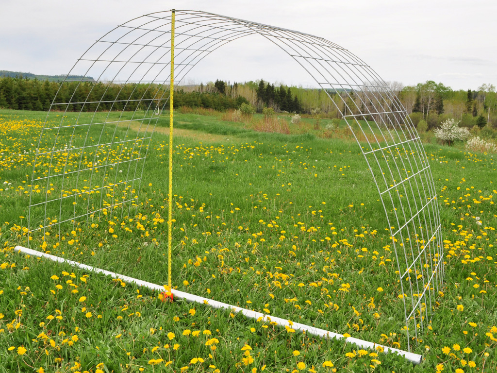 PortaPen Poultry Tractor - hog panel frame